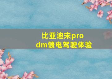 比亚迪宋pro dm馈电驾驶体验